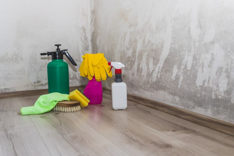 Attic Mold Removal in Dallas, TX