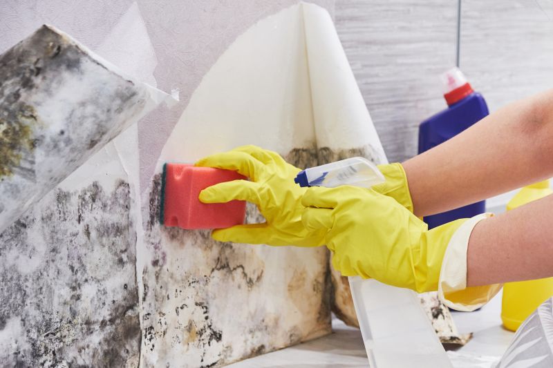 Attic Mold Removal in Bergen County, NJ
