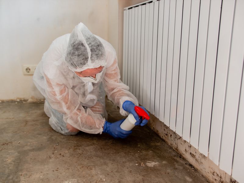 Basement Mold Remediation in Fort Lauderdale, FL