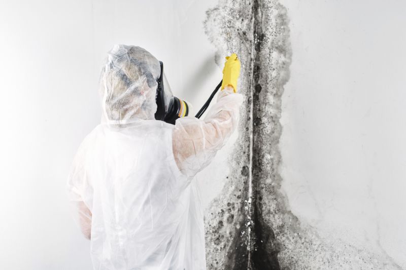 Mold Abatement Service in Frisco, TX