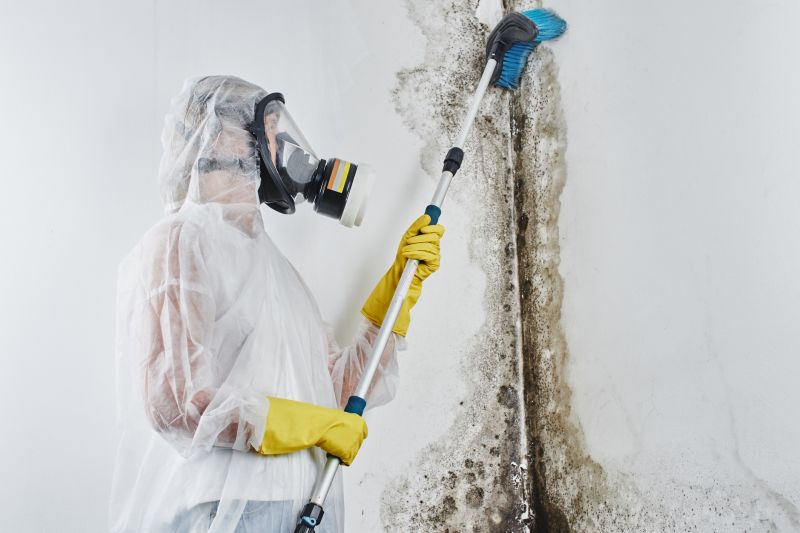 Mold Cleanup Service in Fort Worth, TX