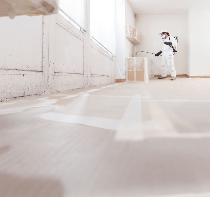 Mold Mitigation Service in Broward County, FL