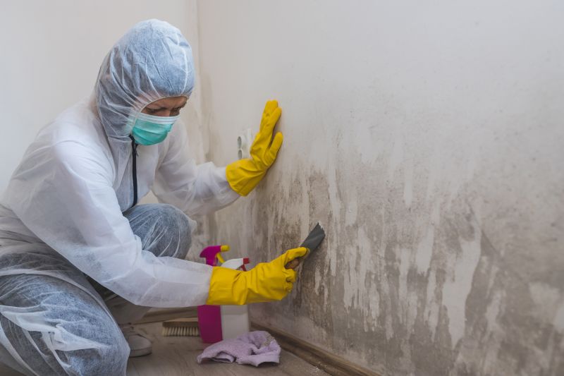 Mold Remediation Service in Fort Lauderdale, FL