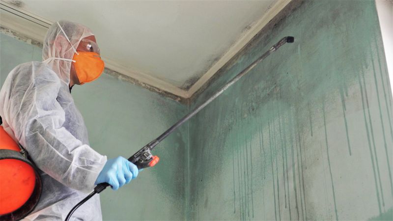Mold Remediation Service in Bergen County, NJ