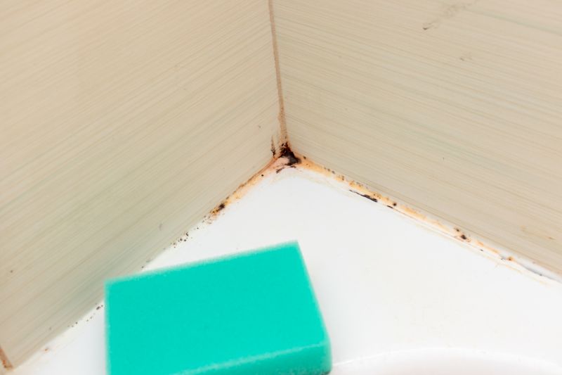 Bathroom Disinfection