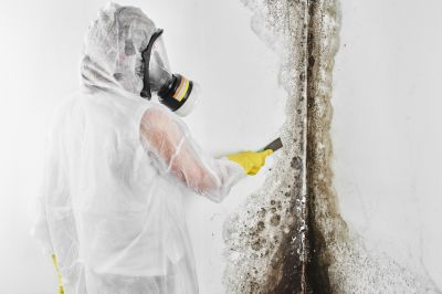 White Mold Mitigation in Frisco, TX