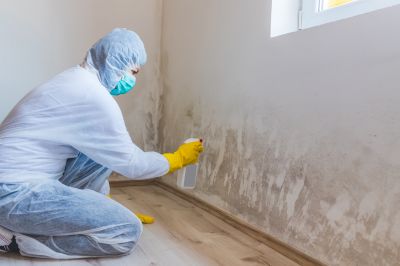 Attic Mold Removal in Dallas, TX
