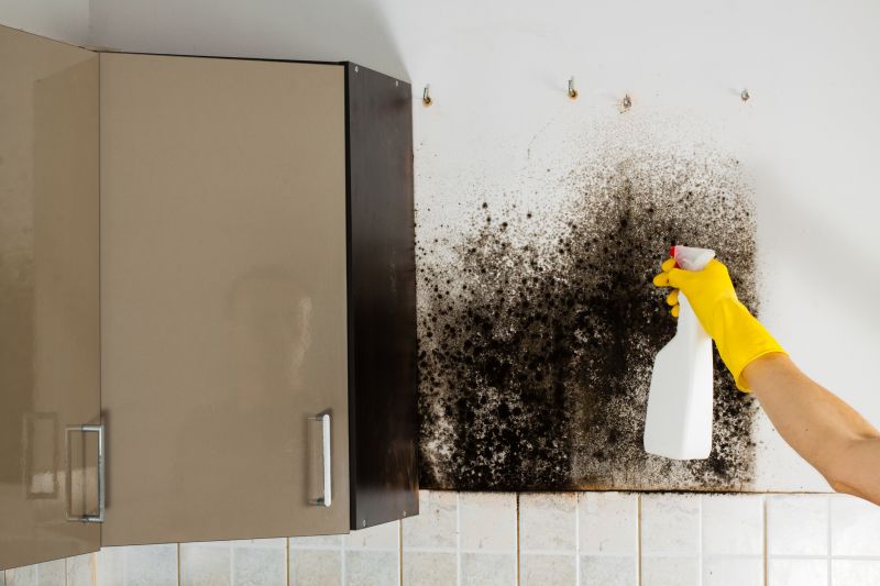 Attic Mold Removal in Boca Raton, FL