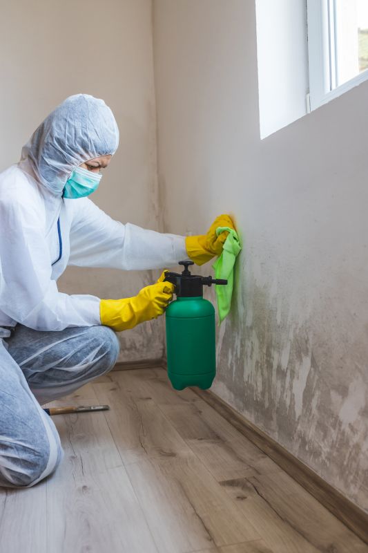 Basement Mold Remediation in Dallas, TX