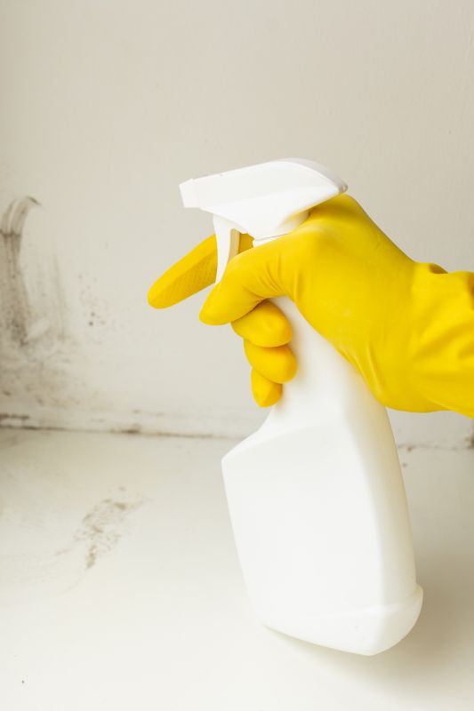Mold Removal in Broward County, FL